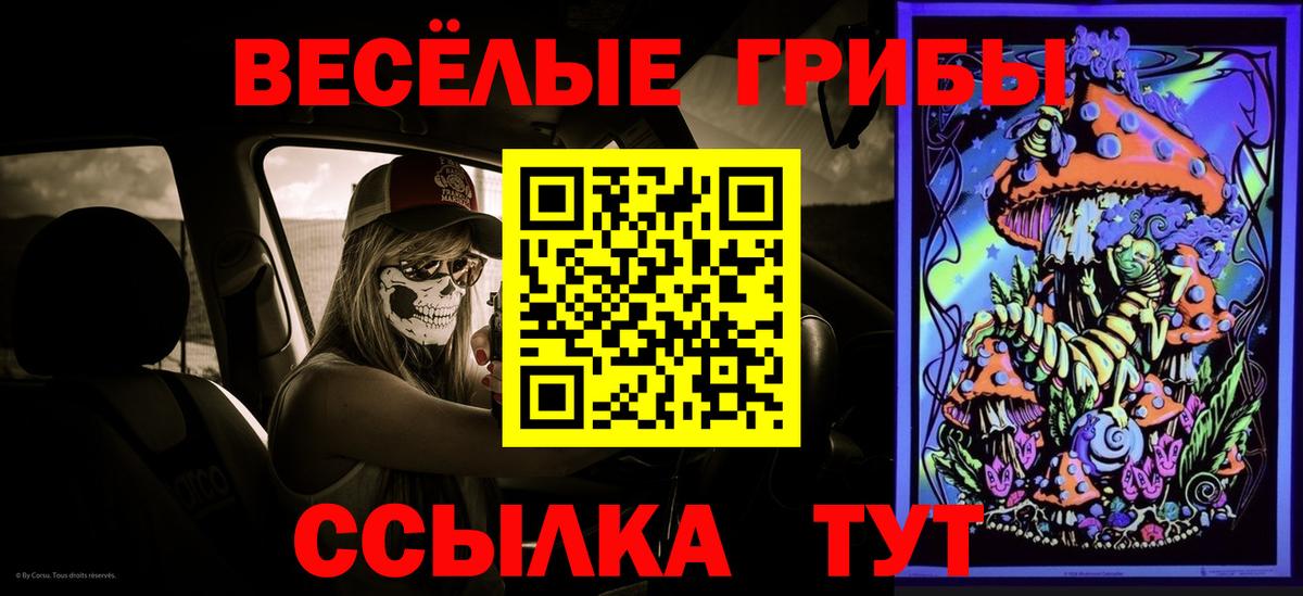 Псилоцибиновые грибы Magic Shrooms Салехард